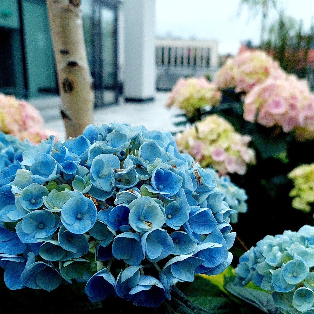 FUNDACJA DLA ROZWOJU - 6